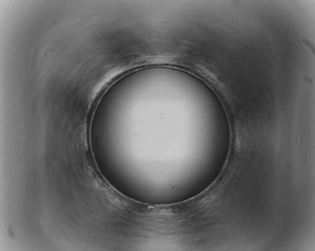 X0000103301174200809051516