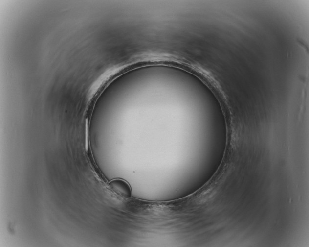 X0000103301175200809051516