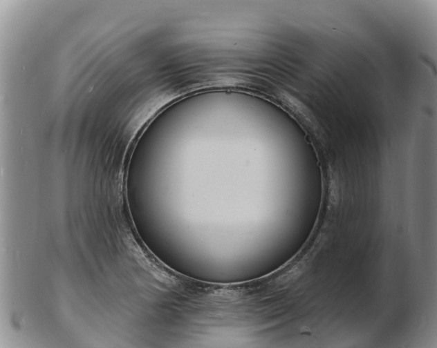 X0000103301178200809051516