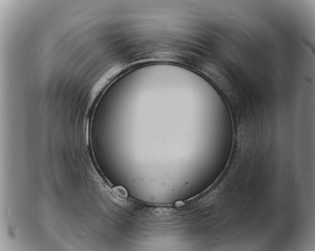 X0000103301180200809051516