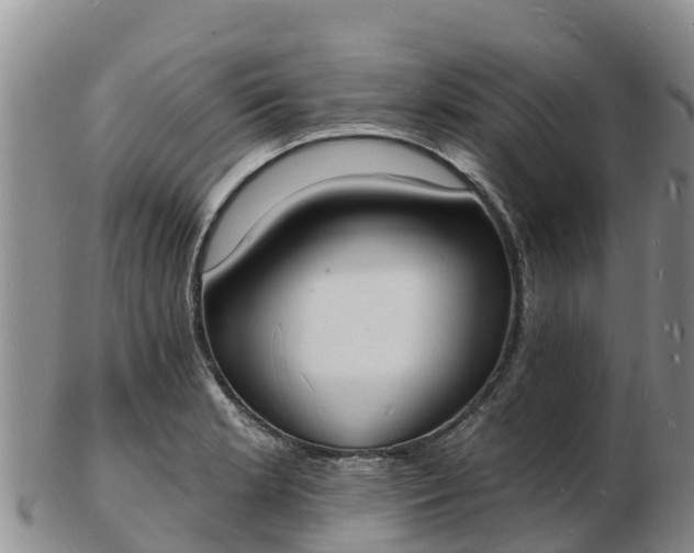 X0000103301181200809051516