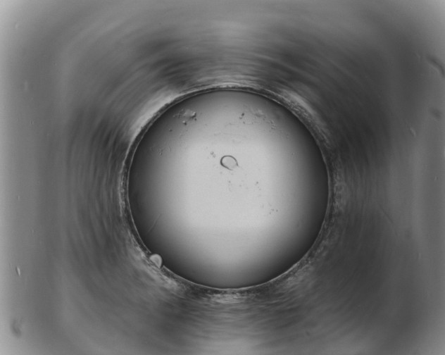 X0000103301182200809051515