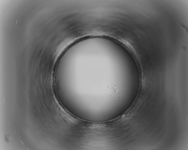 X0000103301183200809051515