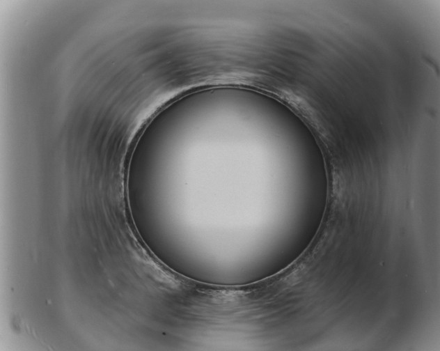 X0000103301184200809051515