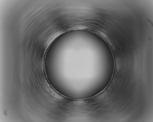 X0000103301186200809051515