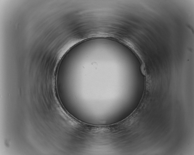 X0000103301187200809051515