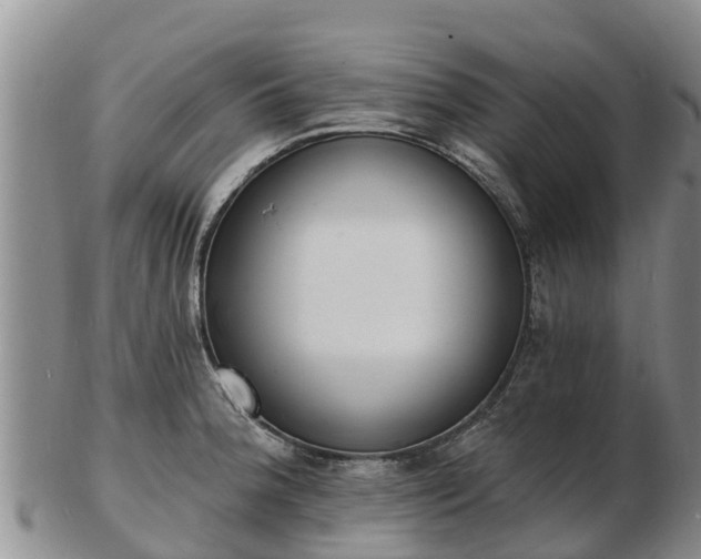 X0000103301188200809051515