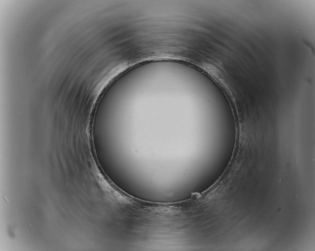 X0000103301189200809051515