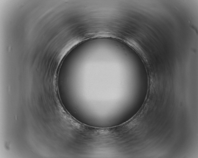 X0000103301190200809051515