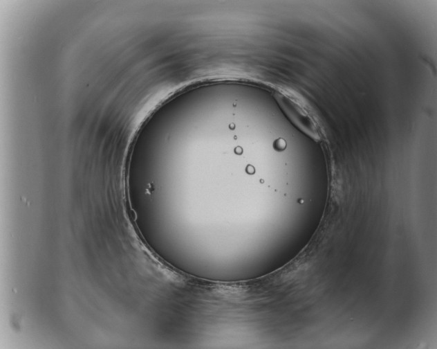 X0000103301191200809051515