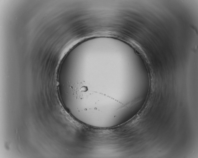 X0000103301192200809051515