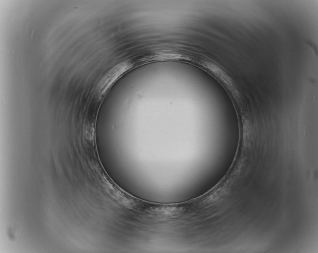 X0000103301193200809051515