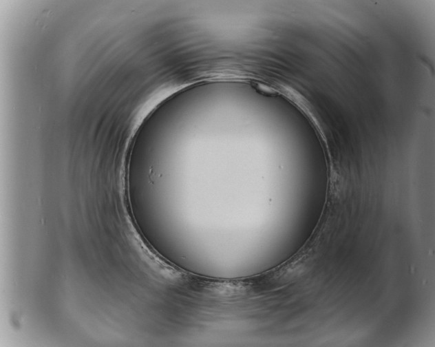 X0000103301195200809051515