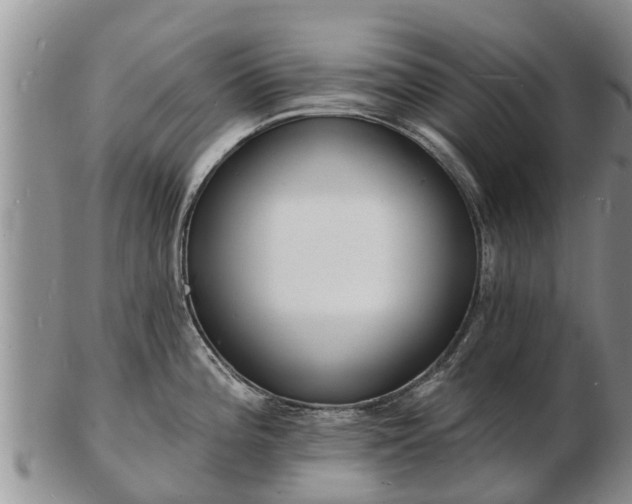 X0000103301196200809051515