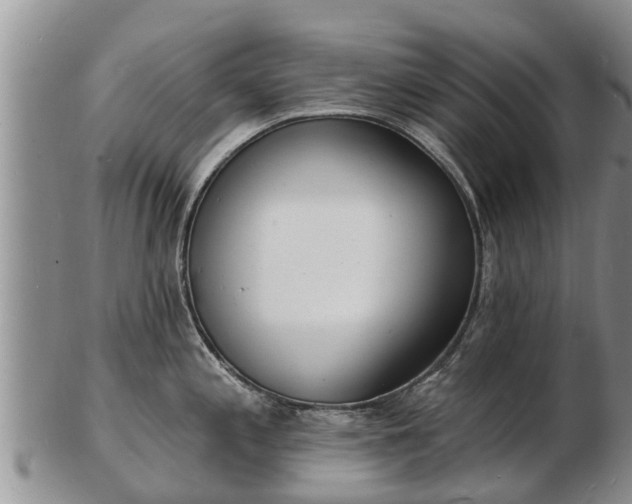 X0000103301197200809051515