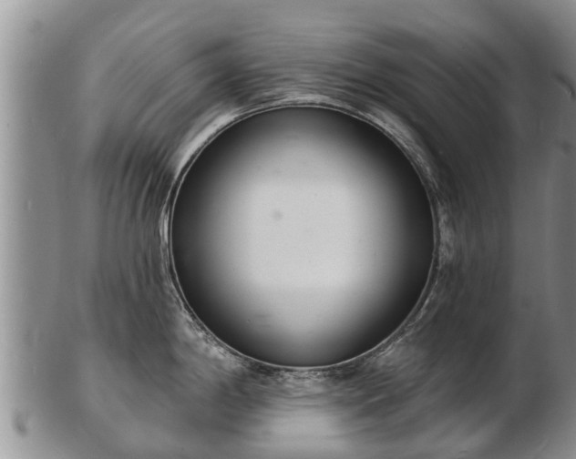 X0000103301198200809051515