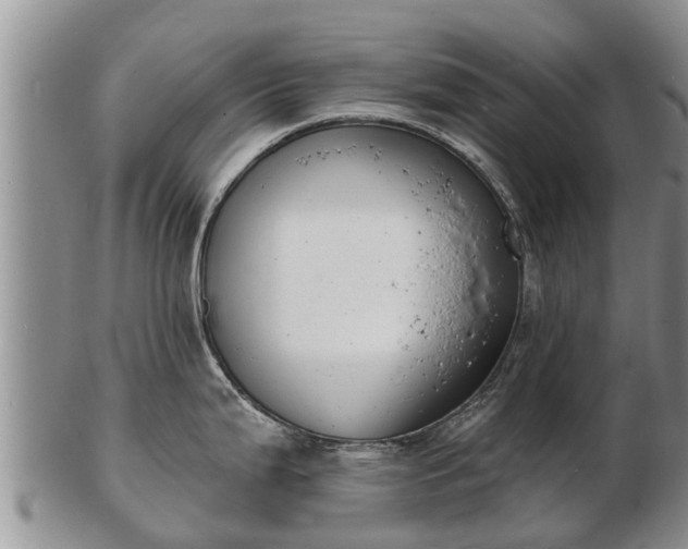 X0000103301199200809051515