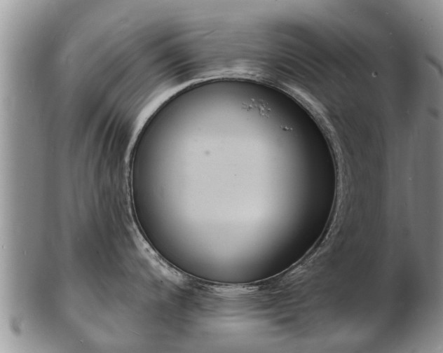 X0000103301200200809051515