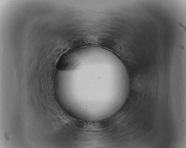 X0000103301201200809051515