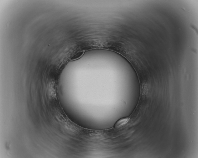 X0000103301202200809051515