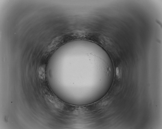 X0000103301203200809051515