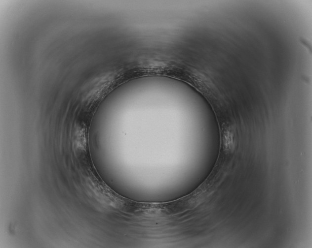 X0000103301204200809051515