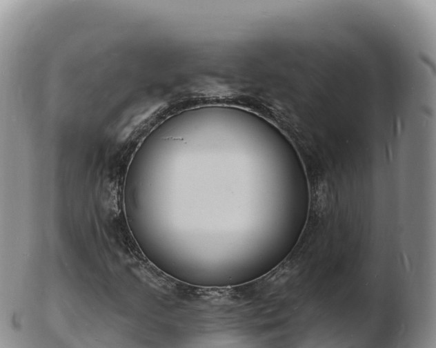 X0000103301205200809051515