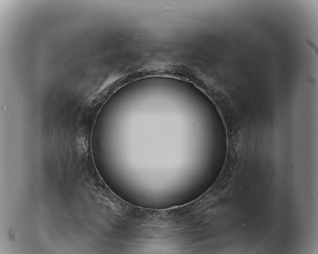 X0000103301206200809051515