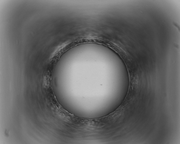 X0000103301207200809051515