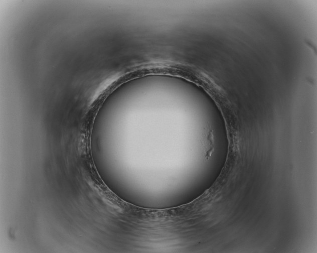 X0000103301208200809051515