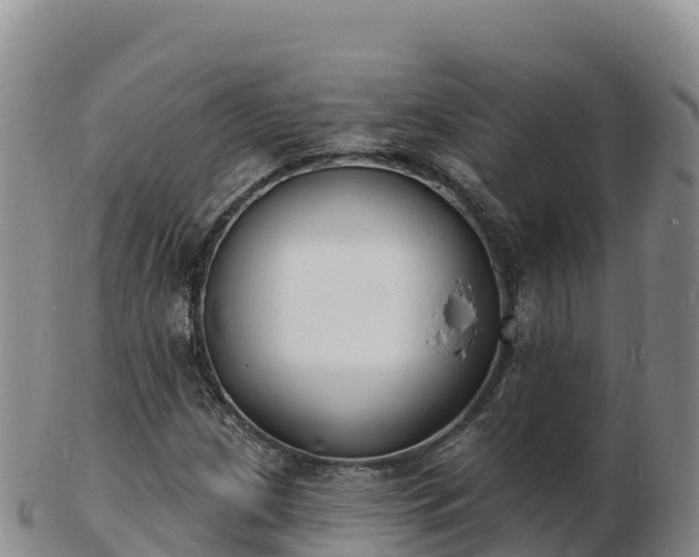 X0000103301209200809051515