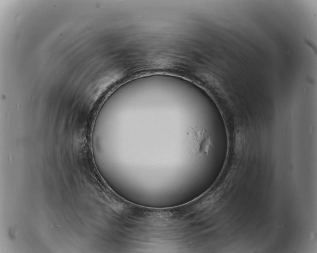 X0000103301210200809051515