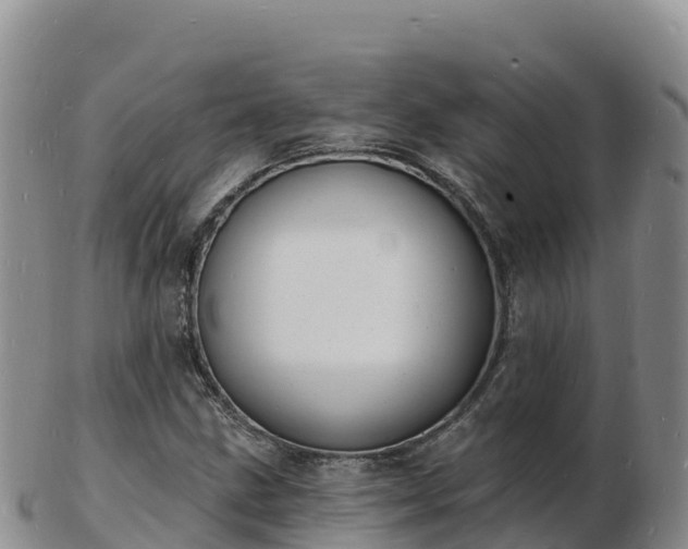 X0000103301211200809051515