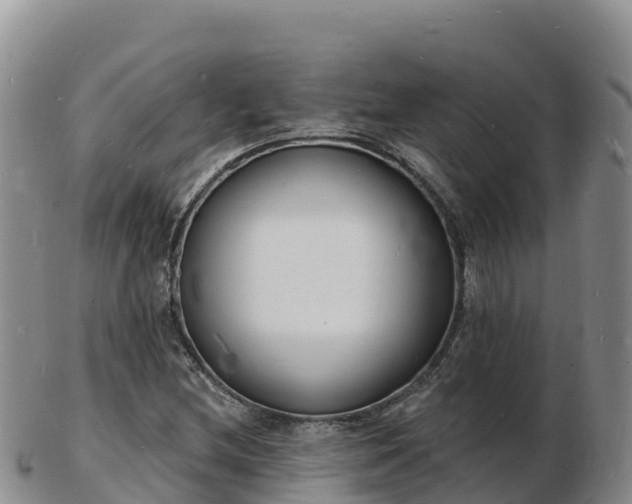 X0000103301212200809051515