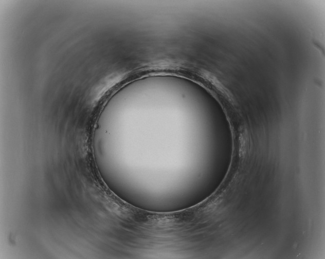 X0000103301213200809051515