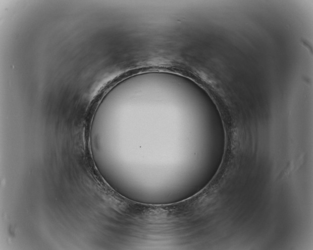 X0000103301214200809051515