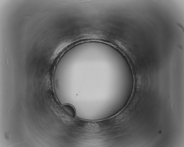 X0000103301215200809051515