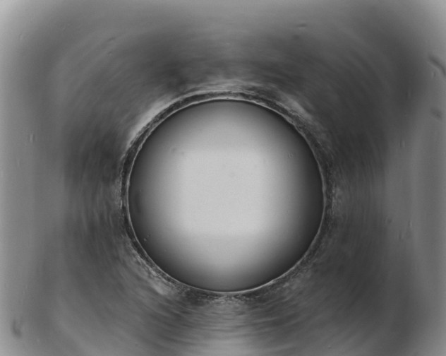 X0000103301216200809051515