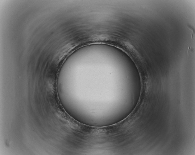 X0000103301217200809051515