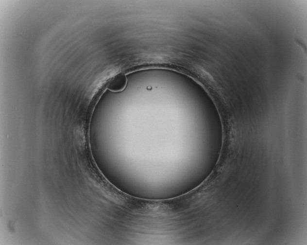 X0000103301218200809051515