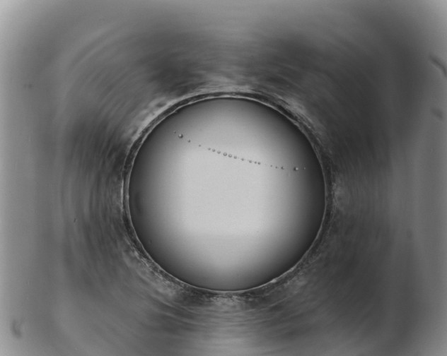 X0000103301220200809051515