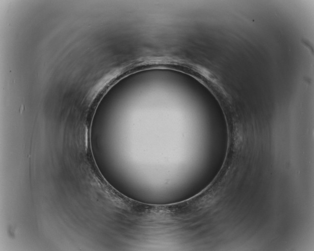 X0000103301221200809051515