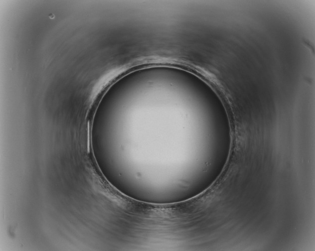 X0000103301223200809051515