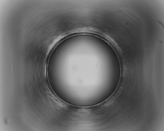 X0000103301224200809051515