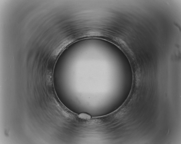 X0000103301225200809051515