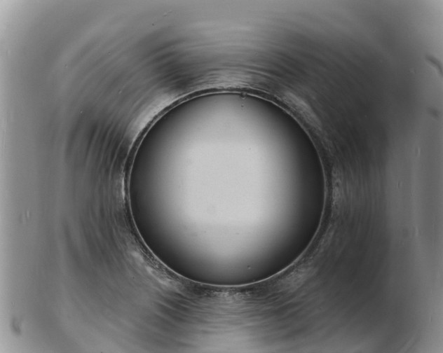 X0000103301226200809051515