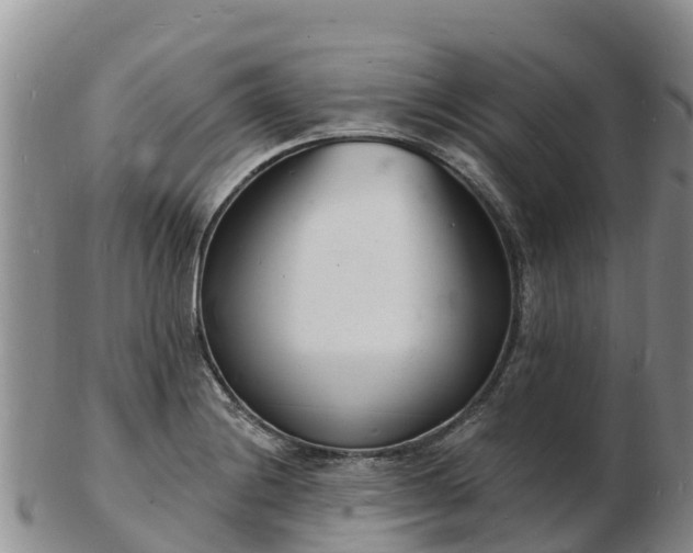 X0000103301228200809051515