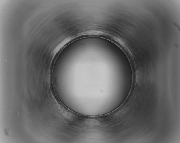 X0000103301229200809051515