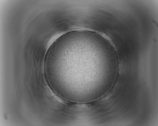 X0000103301231200809051515