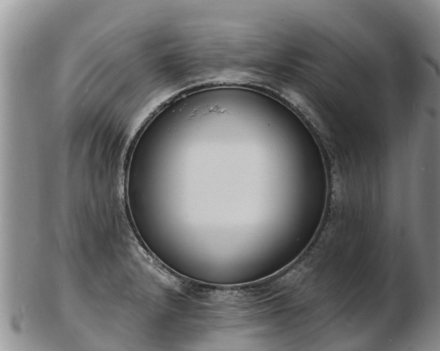 X0000103301232200809051515